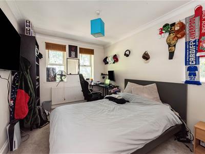 Picture 15